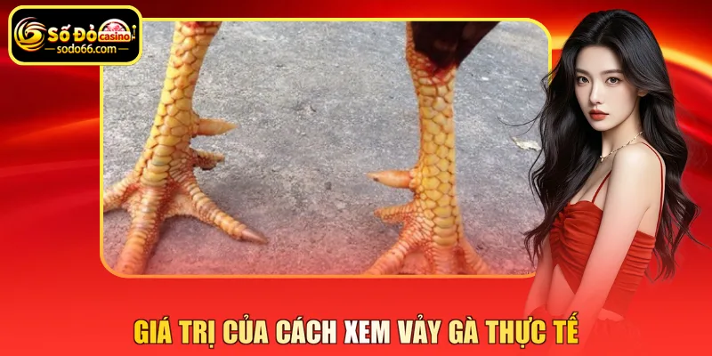 Giá trị của cách xem vảy gà thực tế