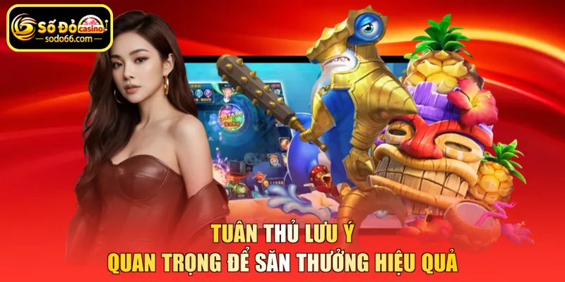 Tuân thủ lưu ý quan trọng để săn thưởng hiệu quả